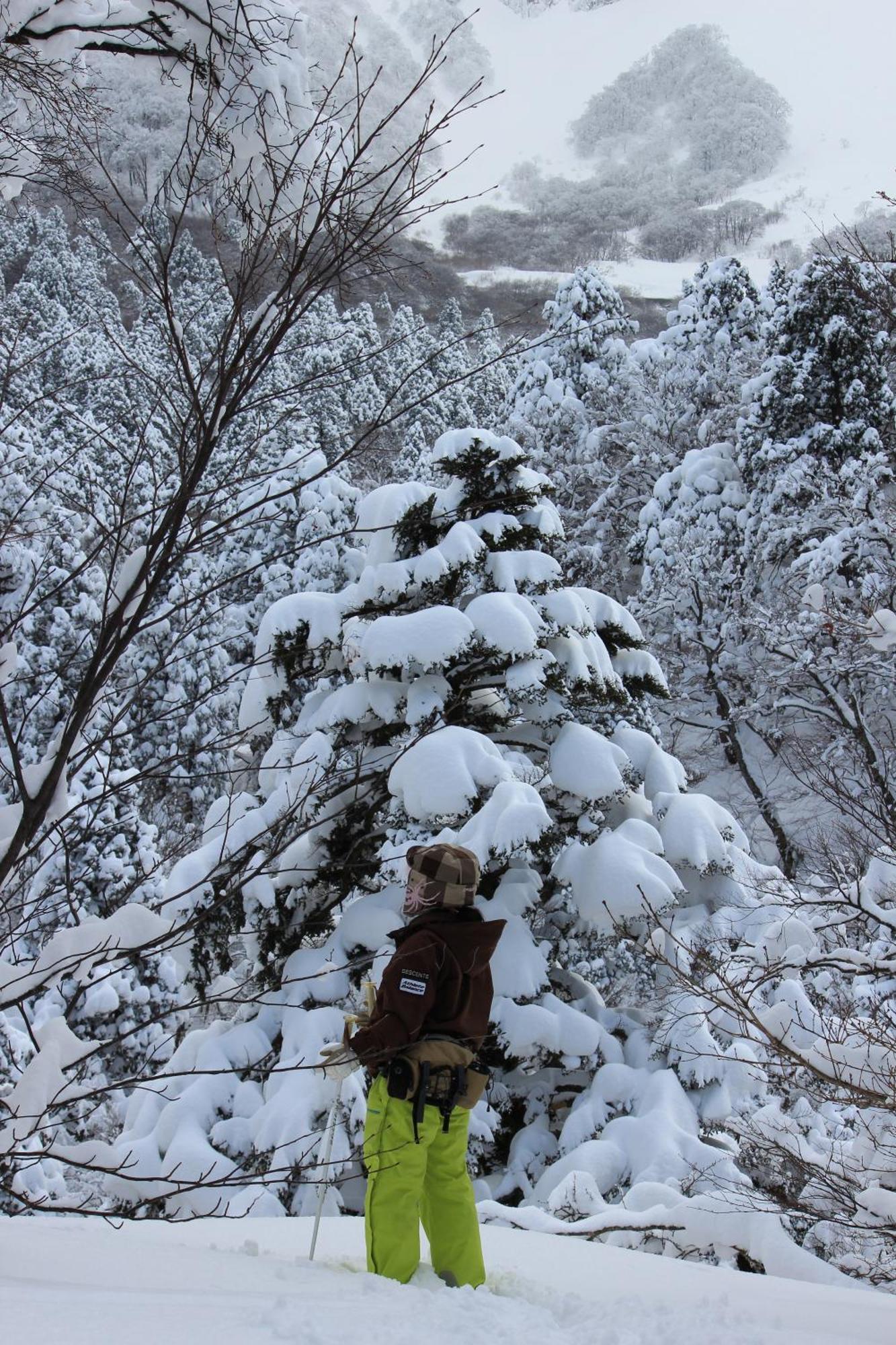 Shukubo Kansho-In Temple Sanrakuso Daisen  Zewnętrze zdjęcie