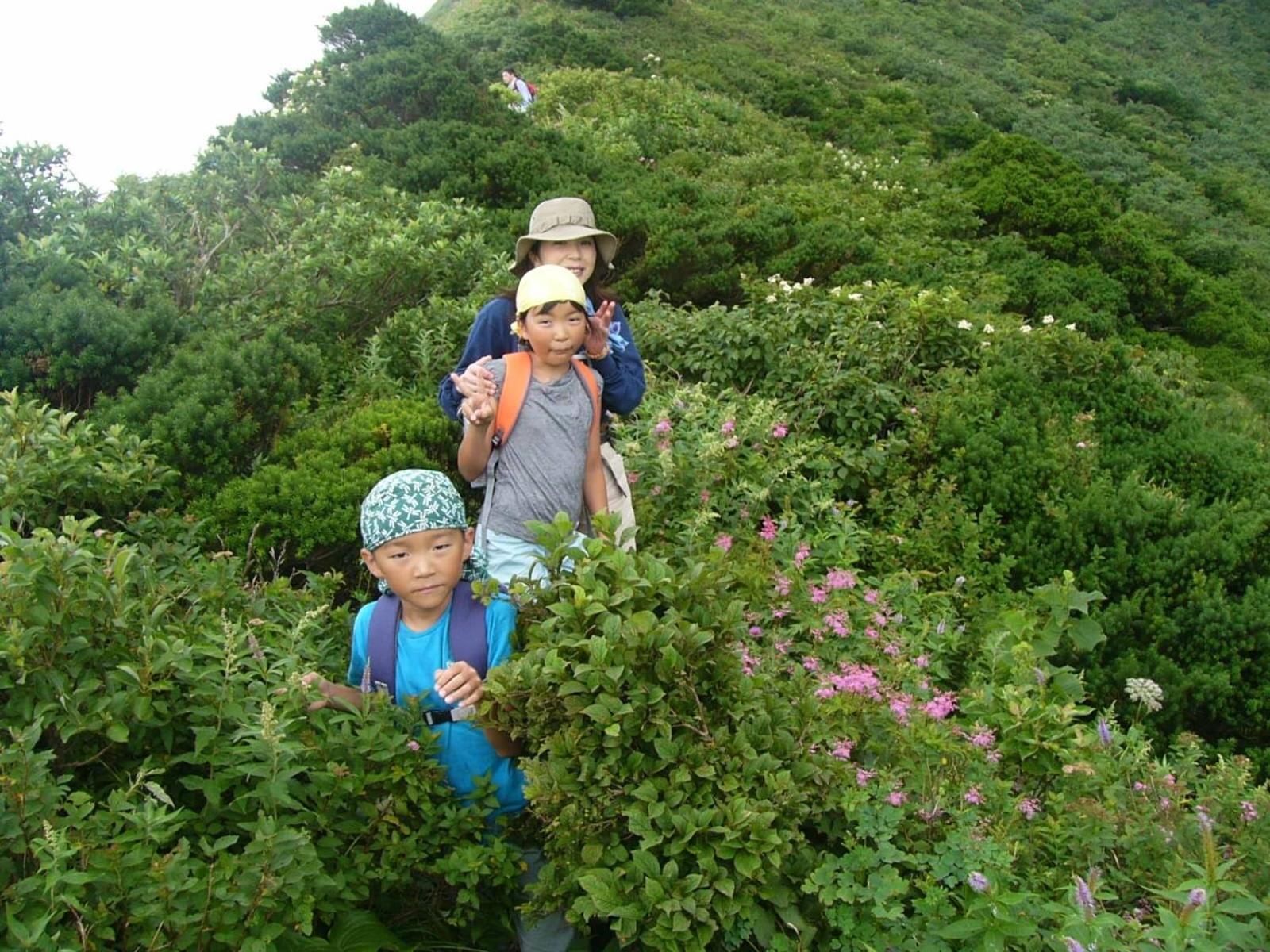 Shukubo Kansho-In Temple Sanrakuso Daisen  Zewnętrze zdjęcie