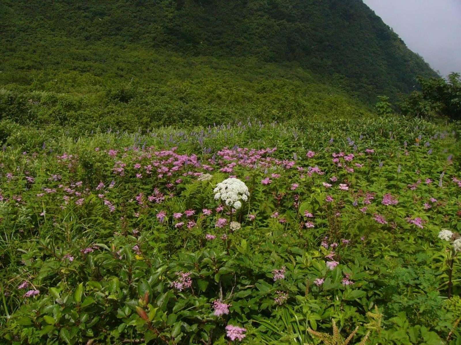 Shukubo Kansho-In Temple Sanrakuso Daisen  Zewnętrze zdjęcie